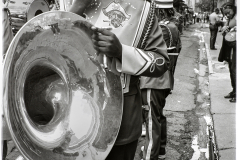 JSB_2991