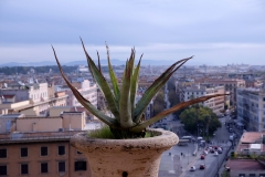 Rome_Album_01