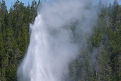 DSCF0430